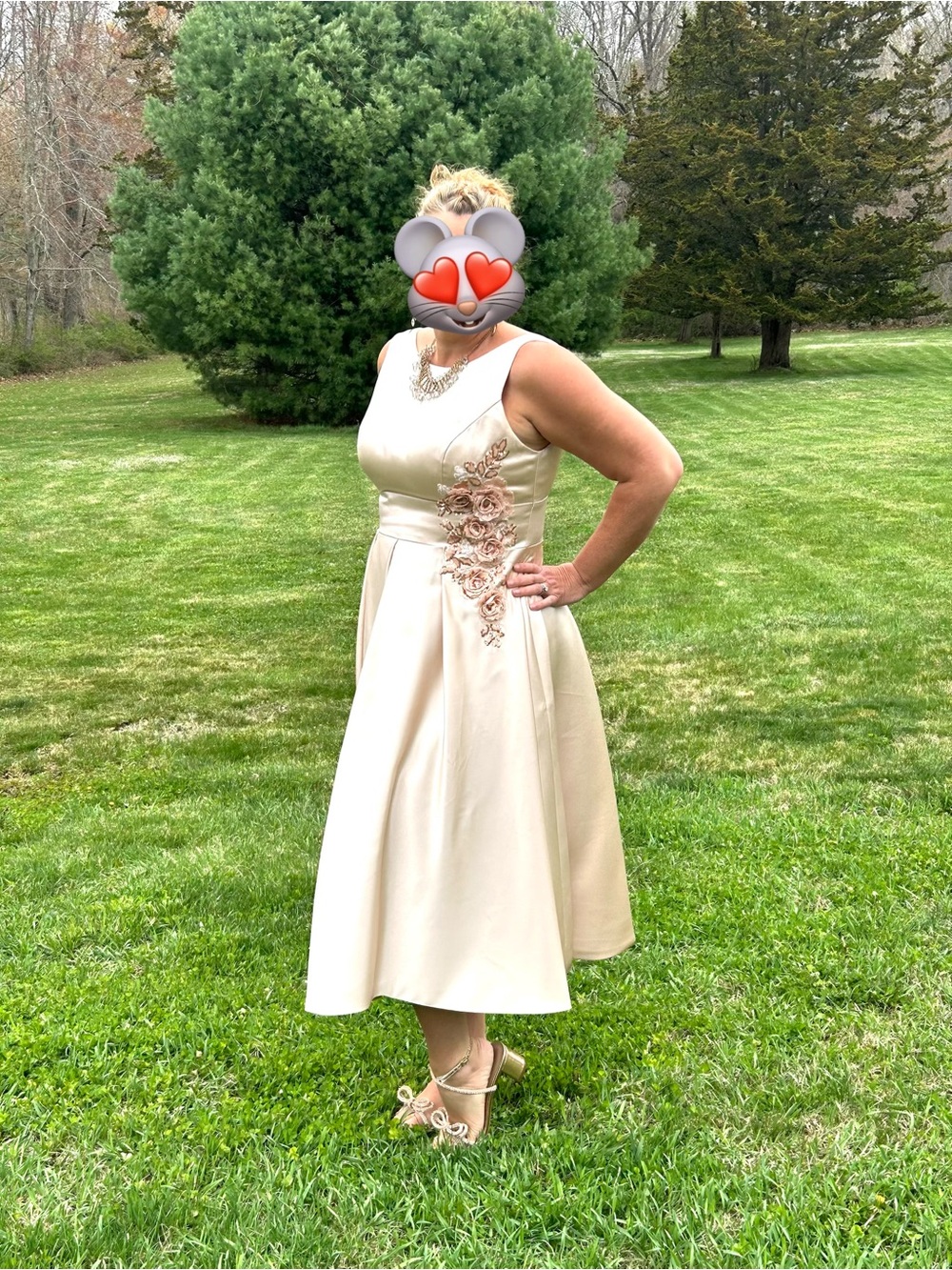 Woman’s size 14 dress